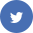 skype icon